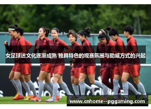 女足球迷文化逐渐成熟 独具特色的观赛氛围与助威方式的兴起