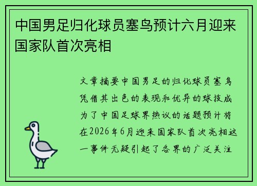 中国男足归化球员塞鸟预计六月迎来国家队首次亮相